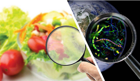 食品安全檢測(cè)儀的作用哪些